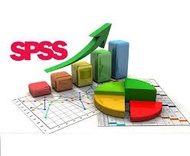 論文指導  專題指導 統計分析代跑   SPSS代跑
