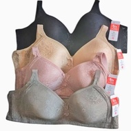 Elena Thin Foam Underwire Bra 23247 Size 36C-42C
