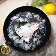[Song Fish] Salmon Head Frozen