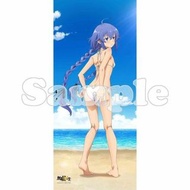 [TK264][預訂] 無職転生 愛莉絲 洛琪希 (White Bikini) 大掛布 (2款)