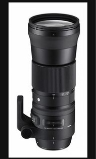 Sigma 150-600mm f/5-6.3 DG 鏡頭