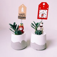 胖胖盆-多肉/仙人掌組 水泥盆栽