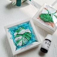 白斑龜背芋車用擴香石