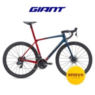 GIANT TCR ADVANCED SL DISC 1 SIZE M (FRAME ONLY)