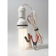 12VDC 20w E27 Daylight Energy Savings Bulb in a Set; Bulbs only