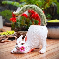 [Time-limited Hot Sale] Soft-Furry Nine-Tailed Fox Succulent Flowerpot Home Bonsai Decoration Monkey