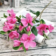 Artificial Flower Single 5-Fork Yingshan Rhododendron Flower Silk Flower Artificial Flower Wedding H