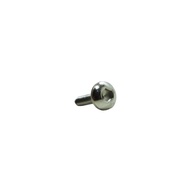Screw Pan 5X20 (S) 90118MJPG50