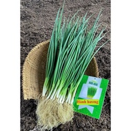 Heat-resistant Pilgrimage seeds, strong growth, grown all year round, 2gr package