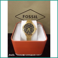 🟧 ▩ Fossil women watch NUMERAL Dial