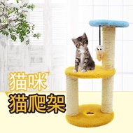 Kitten Cat Colorful Tree Toy Scratcher Plat Bed (Color Random)