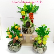 กระถางไม้มงคล ต้นกล้วย ส้ม ขนุน ทับทิม มะยม ขนาด 11 นิ้ว