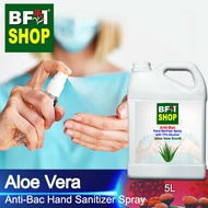 Anti Bacterial Hand Sanitizer Spray with 75% Alcohol - Aloe Vera Anti Bacterial Hand Sanitizer Spray - 5L sanitiser tangan sembur