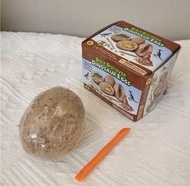 挖掘恐龍蛋玩具/恐龍化石/一起來考古/考古學家/Dino/Mini Dinosaur egg/小朋友生日禮物/復活節禮物之選