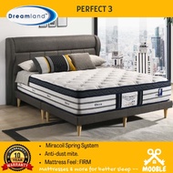 DREAMLAND Chiro Perfect III  12" Mattress (10 years Warranty)