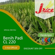 BIBIT PADI BENIH PADI CL220 5KG BIBIT PADI UNGGUL CL 220 MURAH