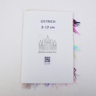 Katalog Bulu Ostrich | Sample Bulu Ostrich 8-10cm