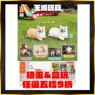 [Big Head House] stasto Capsule Toy Short-Legged Corgi Walking Puppy Trendy Play September