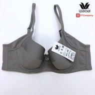 เสื้อใน Wacoal Basic Bra รุ่น WB9920 สีชมพู (WR) บรา 4/5 cup เสริมโครง เสริมฟองบาง ช่วยเก็บกระชับทรง