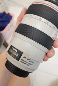 Canon EF 70-300mm f/4-5.6L IS USM 鏡頭