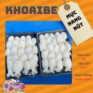 Mực nang nút khay 1kg ( net 8 ) hải sản đông lạnh chế biến được nhiều món ngon