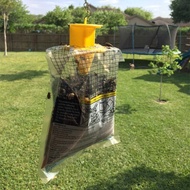 Fruit Fly Trap Fruit Fly Trap Fruit Fly Trap Fruit Fly Trap Fruit Fly Trap