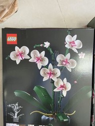 全新Lego 10311