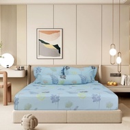 Bộ ga giường áo gối Stefani ST200052 - Bộ drap nệm cotton 1m2 1m4 1m6 1m8 x dài 2m bọc chun (Không k