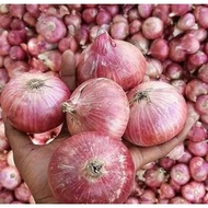 BAWANG MERAH INDIA / BAWANG MERAH PEKING KEMASAN 1KG