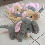 Elephant Elephant Elephant walking