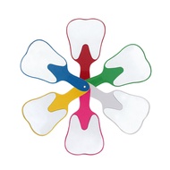 Tooth Shape Mirror Handle Tooth Shape Mirror Tooth Shape Model Mirror Dentist Gift