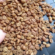 Green Bean Arabika Gayo Wine