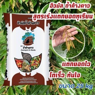 ปุ๋ย ฮิวมัส ถ้ำค้างคาว ฟื้นต้น ต้นโทรม ต้นไม่โต ปุ๋ยทุเรียน ผสมมูลค้างคาว ทุเรียนเล็ก ปุ๋ยทำใบ ต้น ท