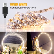 Makeup Vanity Mirror Lamp USB Cable Powered Dressing Table Lights Waterproof LED Beauty Light Bathro