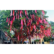 RED CANDLE STRING Tassel Rope FOR DAY DECORATION TREE CNY 2.5CM X 100 METERS