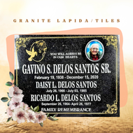 Lapida 1/ Galaxy Granite Tiles/ Memorial Stone/ Gravestone