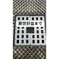 Augustfame - 8 inch Orchids Square Basket / vanda pot /pasu orkid / pasu 4 segi I 8 inch 蕨世好盆 8吋