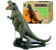 漫玩具 全新 GEOWORLD GEOREX 1/8 88 x 144 公分 恐龍模型 T-Rex 暴龍