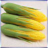 5 Pcs Simulated Models Simulation Artificial Corn Fake Cob Prop Faux Food Decor Realistic yijunpinge