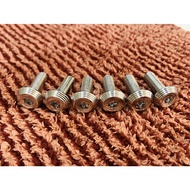 8li2.5 salaya snail Thai model, guys