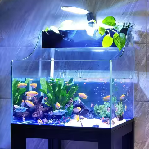 Custom Transparent Eco-friendly Reptile Terrarium Fish Tank Aquarium With Basking Platform High Clea