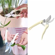 Gunting Dahan Ranting Pruning Alat Potong Dahan Ranting Stek Pruning