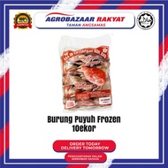 Burung Puyuh Frozen 10ekor/pack