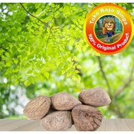 100 Grams Of kluwak kluwak picung Seasoning Shell