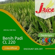 BENIH PADI CL220 5KG BIBIT PADI UNGGUL CL 220 MURAH