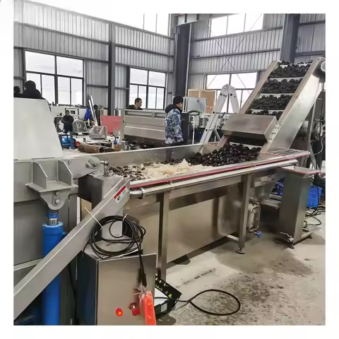 Extra Virgin Avocado Oil Extraction Machine 5000KG H Centrifuge Cold Press High Efficiency Oil Produ