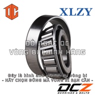 XLZY Bearing 30310 32015 32911 30305 32907 32205 30214 31308 33006 31307 30209 32206 31310 32906 320
