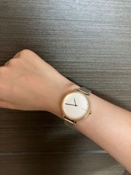 丹麥品牌手錶 Danish Brand Skagen Watch