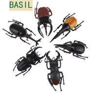 BASIL Simulation Beetle Trick Props Teaching Aids Insect Toy Fake Beetle Beetle Figures Joke Toys Be