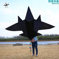 濰坊風箏舞天成人大型三角黑色立體戰鬥飛機風箏兒童卡通搭配線輪